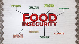 What Is Food Insecurity [upl. by Acirne]