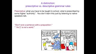 AcqOfLang1 Prescriptive vs Descriptive Grammar Rules [upl. by Lussi]