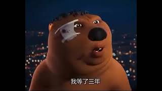 Chinese Bear Shouting meme template [upl. by Eitsyrk]