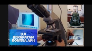 UJI KERAPATAN KONIDIUM AGEN PENGENDALI HAYATI  APH [upl. by Nuri174]