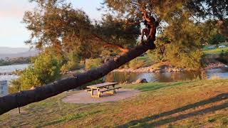 Caminata por el lago en San Dimas California Octubre 20 2024 [upl. by Ralyks121]