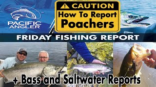 How To Report A Poacher In BC  The Vancouver Fishing Report for August 14th [upl. by Yennek]