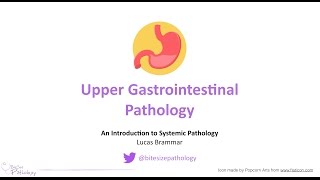 Upper Gastrointestinal GI Pathology  Introduction to Systemic Pathology [upl. by Bourque99]