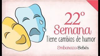 SEMANA 22 de Embarazo  6º Mes  Semana a semana [upl. by Oimetra310]