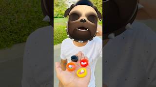 كلب اكل شوكولولو😂😂😂 funny حلوه كيفيه toys مرضيه [upl. by Nesmat]