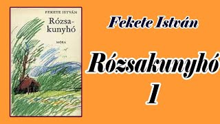 Fekete István  Rózsakunyhó 1 [upl. by Ikey165]