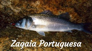 BricoPesca  Zagaia Portuguesa  DIY quotPortuguese Zagaiaquot lure for Sea Bass [upl. by Anairdna587]