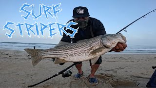 LAST MONTEREY BAY STRIPER OF THE SEASON FOR ME SURF CASTING [upl. by Islek]