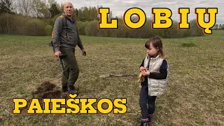 Lobių paieškos 20240427 [upl. by Einnaoj]