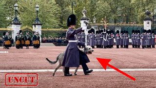 The ENTIRE Buckingham Palace ‘Changing of the Guard ceremony’ FRONT ROW SPECIAL GUEST [upl. by Caputo]