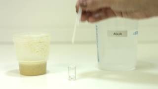 TREINAMENTO  Teste Aflatoxina Qualitativo [upl. by Ruthanne]