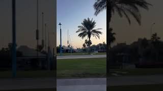 On the way to Hilton resort in Qatar🇶🇦😃youtubeshorts qatar resort foryou type [upl. by Edwine729]