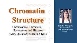 Structure of Chromatin for CSIRNET [upl. by Emiline337]