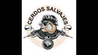 CERDOS SALVAJES [upl. by Ecylla503]