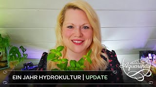 Die Entwicklung meiner Hydrokultur 📆📈 amp Tipps für Zimmerpflanzen im Aquarium 🌷🌿  Aquarinas Update [upl. by Alyehc]