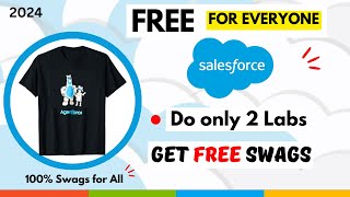 Get New Salesforce Swags for Free  How to get Salesforce swags in 2024 [upl. by Elwin542]