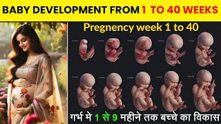 Pregnancy 1st week to 40th Weeks  Complete Guide to Baby Development weeks by week HINDI [upl. by Urbanna]