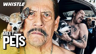 Acting LEGEND Danny Trejo Is OBSESSED With His Dogs amp Car Collection 🙌 [upl. by Ahsimaj]