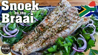 Snoek Braai Recipe  Grilled Barracouta Thyrsites atun  Snake mackerel  South African Recipes [upl. by Antin535]