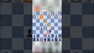 Daily dose of Checkmate Latvian Gambit chessmates chessgames chesss chesstactics chessmate [upl. by Noval]