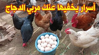 أولا فكر و خدم عقلك و حاول تعرف أسرار المهنة ، تربية الدجاج البلدي مع سعيد tarbiat dajaj [upl. by Crowe]