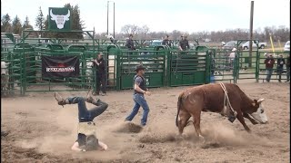 Bull Bucking Practice Roger Sundsbak 5132019 [upl. by Amlez]