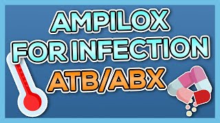 Ampilox Ampicillin  Dicloxacillin Nursing Drug Card Simplified  Pharmacology [upl. by Brit953]