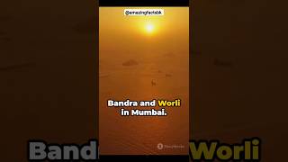 BANDRAWORLI SEA LINK bandra mumbai atalsetu travel cablebridge india [upl. by Owen]