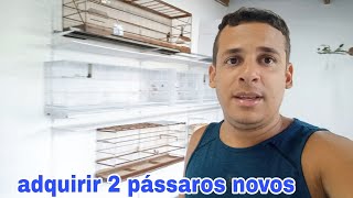 adquirir 2 pássaros novos para o criatório [upl. by Nlyak278]