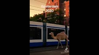 This is Amsterdam 2023 This is Europe 2023 [upl. by Briano60]