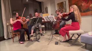 Gershwin Lullaby with Jana Kaminsky viola [upl. by Aes]