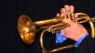 Rhapsody for Brass sextet金管六重奏のためのラプソディ [upl. by Aerona]