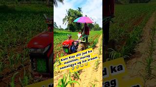 HALA MURA MAG NAMALIGYAG ICE CREAM 🤣😂😅😂 youtubeshorts farming farmers agriculture [upl. by Frederic]