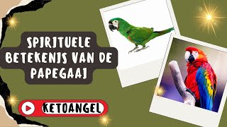 Spirituele Betekenis van de Papegaai Symboliek en Inzichten [upl. by Weaks]