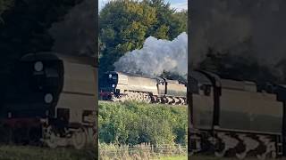 Steam Train in perfect evening sunlight steamengine steamtrain trainspotting steam railway [upl. by Amikat558]