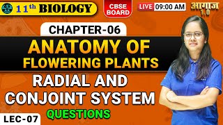 CBSE BOARD  CLASS 11TH BIOLOGY  ANATOMY OF FLOWERING PLANTS  LEC07  A K EDUCATION [upl. by Alemaj]