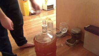 How to Make Apfelwein part 22 [upl. by Cloris]