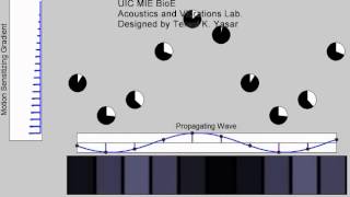 Principles of MR Elastography MRE [upl. by Elleda301]