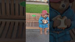 Paddington Bears Northern Ireland Adventure [upl. by Aroc350]