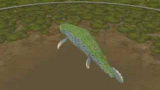 Tiktaalik [upl. by Ahsenid]