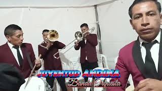 Banda amp Orquesta quotJuventud AndinaquotMix Dra2024🎶🎶 [upl. by Yc]