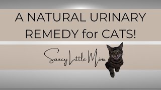 Stop running to the Vet Heres a NATURAL URINARY SOLUTION for your cat [upl. by Ninnetta]