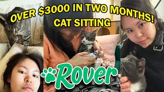 All You Need to Know about Rovercom as a Sitter  Review Pros amp Cons amp Tips CAT SITTER [upl. by Airdnala]