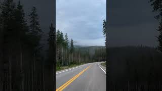 Look at the fog in Yellowstone NP just after sunrise No traffic that early in the morning nature [upl. by Adnahsam257]