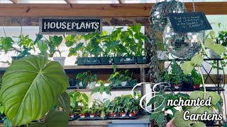 Come Houseplant Shopping at the Local Nursery with Me  Enchanted Gardens [upl. by Aneehsit]