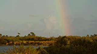 Scrub replay Ground system helium issue stymies Starlink launch attempt from Cape Canaveral [upl. by Harlie]