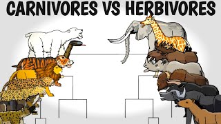 CARNIVORES VS HERBIVORES TOURNAMENT  ANIMATION [upl. by Hatnamas827]