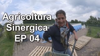 Agricoltura Sinergica EP 04 [upl. by Orvie]