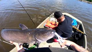 Catching HUGE Channel Catfish at Lake Mendota Day of 5302020 [upl. by Eboj486]