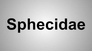 How To Pronounce Sphecidae [upl. by Idid]